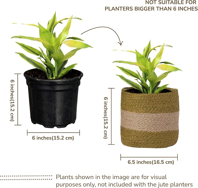 Jute Small Plant Pots Set of 2, 6.5 inches- Olive & Natural | Jute Planter Basket-Woven Rope Covers for Decorating Indoor/Outdoor Succulents Multi-Purpose Storage Bins Modern Style Decor