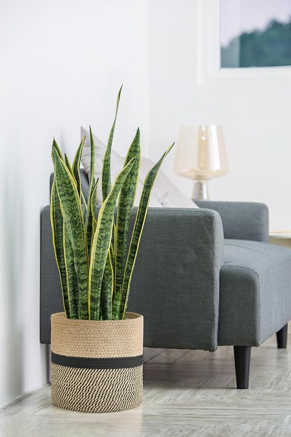 Dahey Plant Basket Indoor for 10 inch Pot Woven Jute Planter, Black | Fits 8"-10" Planters, Reinforced Structure, Foldable Laundry Bin with Handles, Jute Cotton Rope, Decorative Flower Pot Cover
