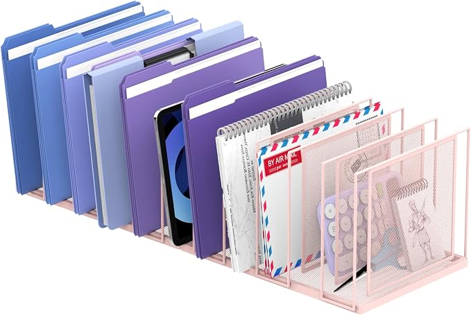 File Organizer for Desk, 11-Section Vertical File Sorter, Paper Holder Organizer Standing Metal File Folder for Office Home Classroom, Pink