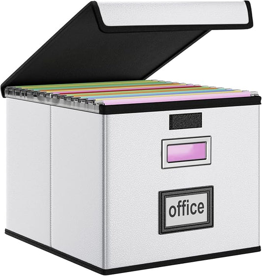 File Organizer Box with Lids, Collapsible File Folder Organizer | File Box with Plastic Slides for Document, Filing Bin for Letter Size Hanging File Folders (1 Pack, Silver, Leather)