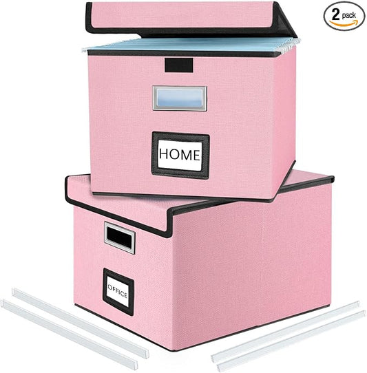 File Organizer Box with Lids, Collapsible File Folder Organizer | File Box with Plastic Slides for Office Document Storage, Filing Bin for Letter Size Hanging File Folders (2 Pack, Pink)