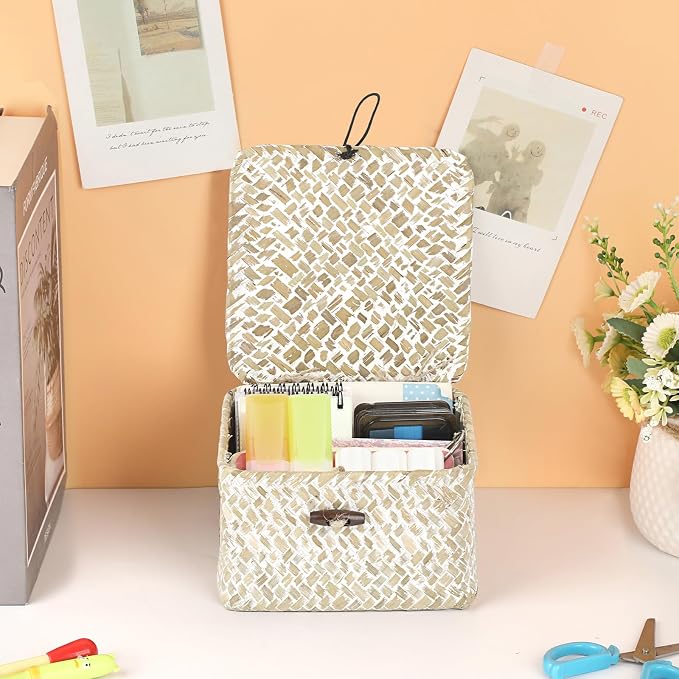 Hipiwe Wicker Shelf Baskets with Lid Woven Decorative Basket Bin, X-small | Handmade Natural Seagrass Storage Box, Household Organizer Bin for Shelf Bathroom Coffee Table Decor Organizer
