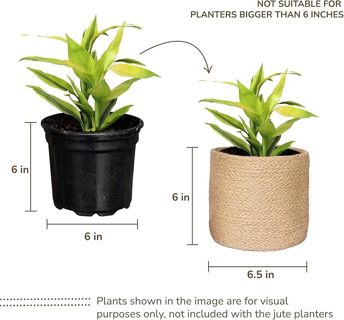 Jute Small Plant Pots- Woven Jute Set of 2, 6.5 inches- Brown | Jute Planter Basket-Woven Rope Covers for Decorating Indoor/Outdoor Succulents Multi-Purpose Storage Bins Modern Style Decor