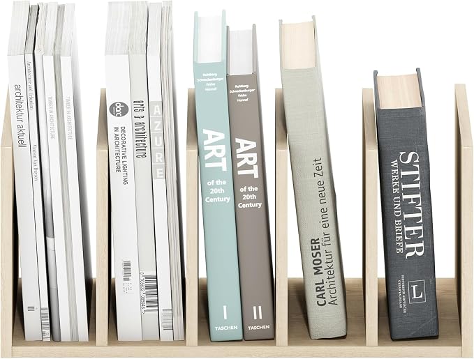 Furinno HERMITE Desk File Folder Organizers, 5-Space Vertical Desktop Office Organization Racks, Desk Top Display Book Shelf, for Paper, Office Supplies, Magazine, Bauhaus Oak