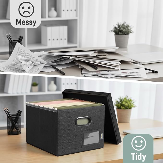 BALEINE File Organizer Box with Lid, Collapsible File Folder Organizer with Plastic Slide, Filing Box for Office Home Document Organizer Storage (Black, 2PK)