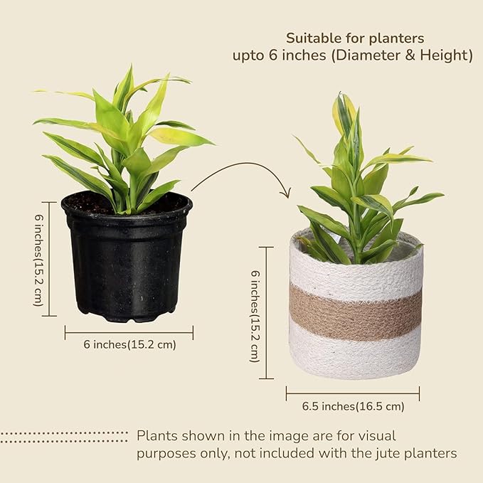 Jute Small Plant Pots Set of 2, 6.5 inches- White & Natural Jute | Jute Planter Basket-Woven Rope Covers for Decorating Indoor/Outdoor Succulents Multi-Purpose Storage Bins Modern Style Decor
