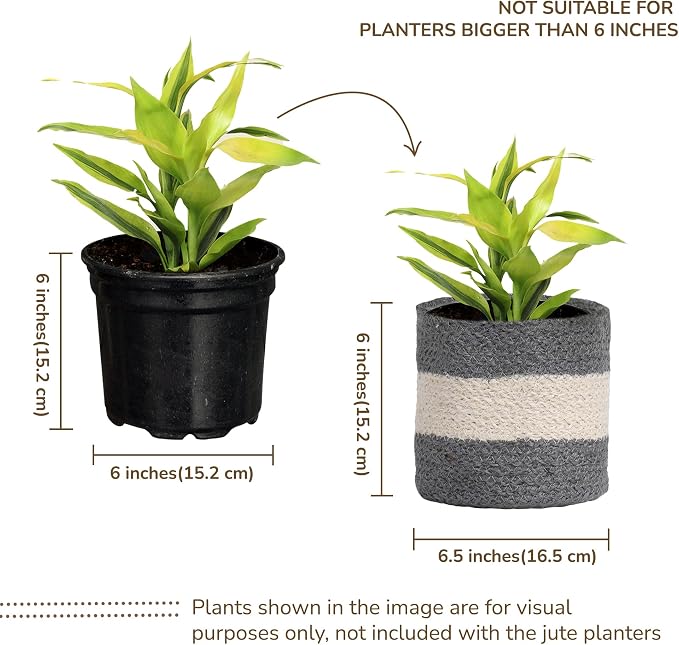 Jute Small Plant Pots Set of 2, 6.5 inches- Gray & White | Jute Planter Basket-Woven Rope Covers for Decorating Indoor/Outdoor Succulents Multi-Purpose Storage Bins Modern Style Decor
