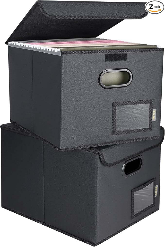 BALEINE File Organizer Box with Lid, Collapsible File Folder Organizer with Plastic Slide, Hanging File Folder Box for Office Document Storage (2 Pack, PU, Black)