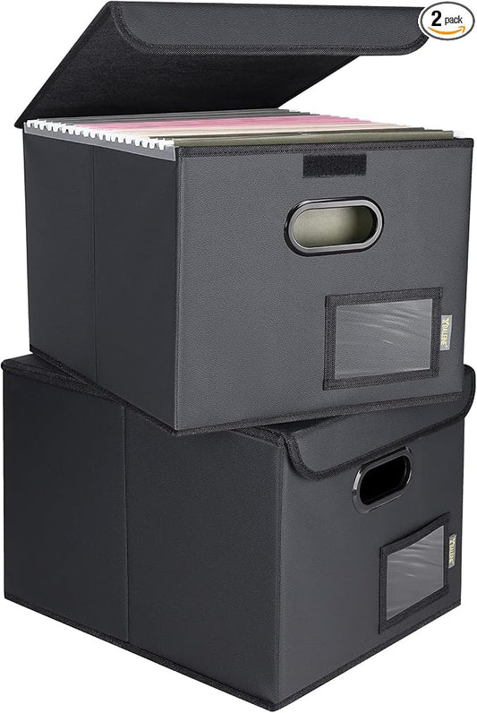 BALEINE File Organizer Box with Lid, Collapsible File Folder Organizer with Plastic Slide, Hanging File Folder Box for Office Document Storage (2 Pack, PU, Black)
