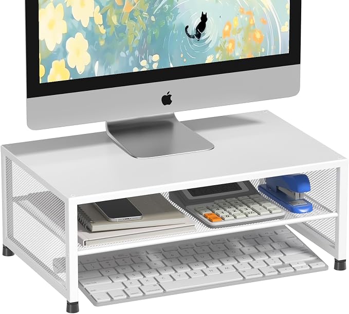 ECOLOVI 2-Tier Computer Monitor Stand Riser, Desk Organizer for Monitor, Printer & Laptop Stand, Desktop Workspace Organizers for Office Supplies(White)