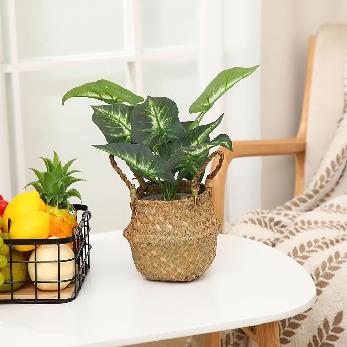 Qunclay 8 Pcs Woven Seagrass Baskets Belly Basket Folding Boho Natural Plant Pot with Handles Round Decorative Wicker Large Indoor Planter for Home Outdoor Tree Planters Decor (Xs,7.9''dx6.3''h)