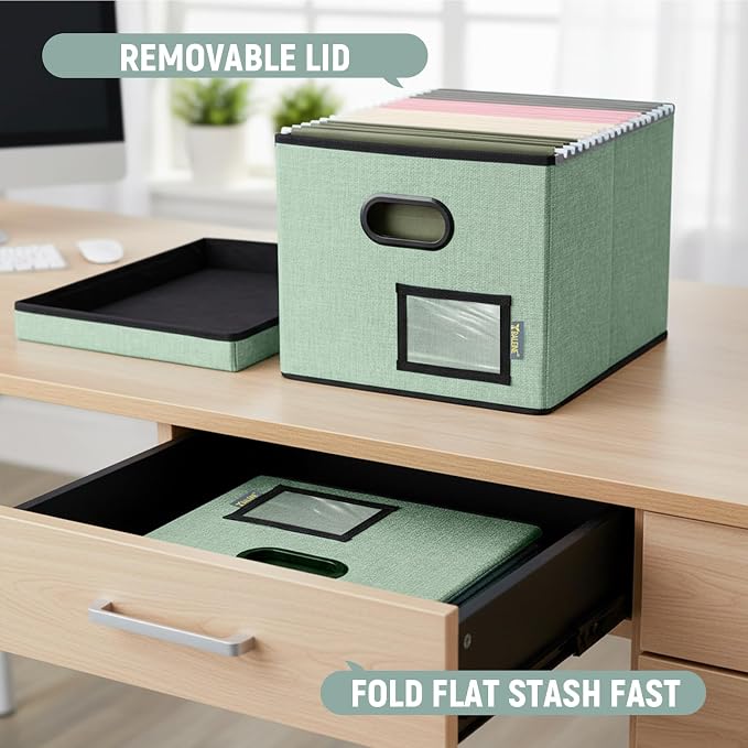 BALEINE File Organizer Box with Lid, Collapsible File Folder Organizer with Plastic Slide, Filing Box for Office Home Document Organizer Storage (Green, 2PK)