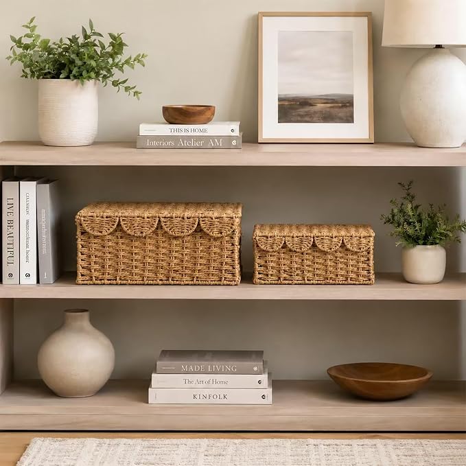 Set of 2 Scalloped Wicker Baskets with Lid,Paper Rope Decorative Storage Baskets for Shelves, Display Shelf, Handmade Cute Woven Basket for Nursery,Living Room Decor