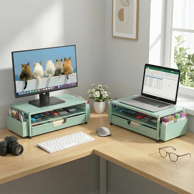 ECOLOVI Desk Organizer and Accessories, 2-Tier Computer Monitor Stand Rise with Storage Drawer & 2 Pen Holders, Laptop & Printer Stand for Desktop, Workspace Organizers for Office Supplies (Green)