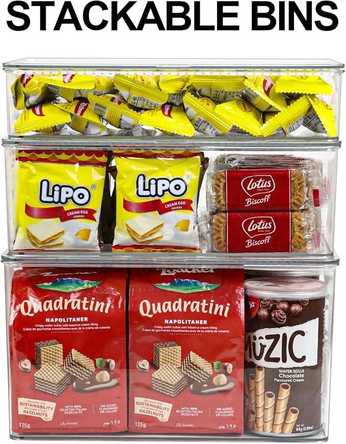 ZEXALOR Clear Plastic Storage Bin with Lid, Organizer for Pantry, Office, Bathroom, Kitchen, Snack, Tea Bag, Coffee Container (Large)
