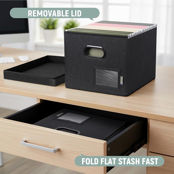 BALEINE File Organizer Box with Lid, Collapsible File Folder Organizer with Plastic Slide, Filing Box for Office Home Document Organizer Storage (Black, 1PK)