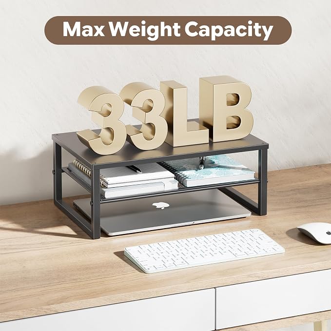 Ekisemio 2-Tier Computer Monitor Stand Riser, Desk Organizer for Monitor, Black