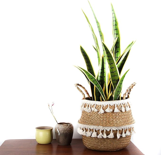 Tassel Macrame Woven Seagrass Belly Basket for Storage, Decoration, Laundry, Picnic, Plant Basin Cover, Groceries and Toy Storage (Large, Tassel)