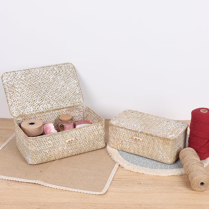 FEIALNDUO Wicker Shelf Baskets with Lid,Seagrass Storage Basket Bins Rectangular Handwoven Basket Boxes for Shelves Desktop Home Organizer (Whitewash, Small)