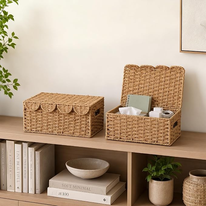 Set of 2 Scalloped Wicker Baskets with Lid,Paper Rope Decorative Storage Baskets for Shelves, Display Shelf, Handmade Cute Woven Basket for Nursery,Living Room Decor
