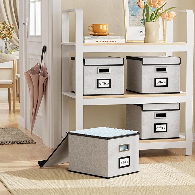 File Organizer Box with Lids, Collapsible File Folder Organizer | File Box with Plastic Slides for Office Document Storage, Filing Bin for Letter Size Hanging File Folders (1 Pack, White)