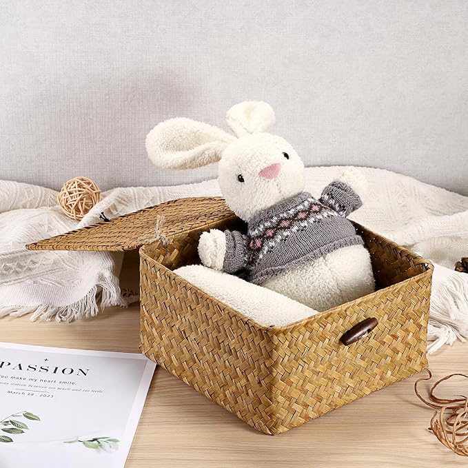 Hipiwe Handwoven Wicker Shelf Basket Bin with Lid Decorative Baskets Box | Multipurpose Seagrass Baskets Organizer, Square Household Storage Basket for Shelf Living Room Bathroom, Small Caramel