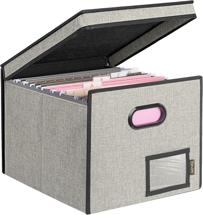 BALEINE File Organizer Box with Lid, Collapsible File Folder Organizer with Plastic Slide, Hanging File Folder Box for Office Document Storage (Tab Friendly, 1 Pack, Beige)
