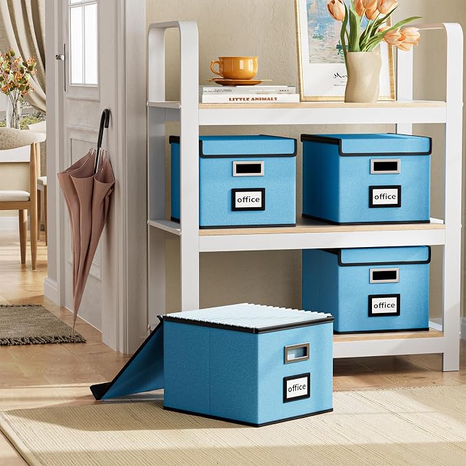 File Organizer Box with Lids, Collapsible File Folder Organizer | File Box with Plastic Slides for Office Document Storage, Filing Bin for Letter Size Hanging File Folders (1 Pack, Sky-blue)