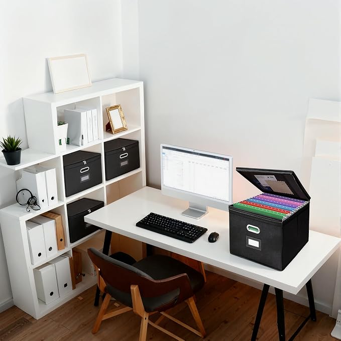 8 Pack File Organizer Boxes with Lids, Collapsible Document Storage Bin with Mesh Pockets & Zipper, Fits Letter/Legal Size Folders for Home Office Classroom Organization (Black, No Folders)