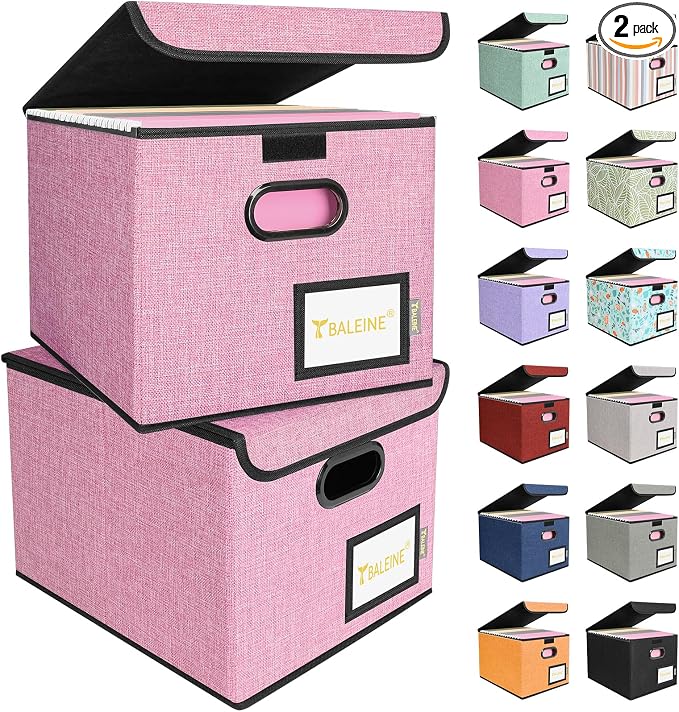 BALEINE File Organizer Box with Lid, Collapsible File Folder Organizer with Plastic Slide, Hanging File Folder Box for Office Document Storage (2 Pack, Pink)
