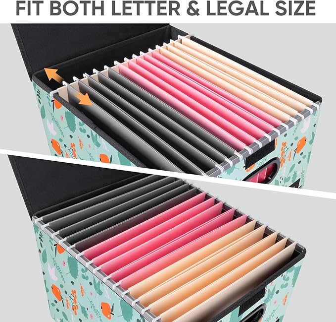 BALEINE File Organizer Box with Lid, Collapsible File Folder Organizer with Plastic Slide, Hanging File Folder Box for Office Document Storage (1 Pack, Spring Stroll)