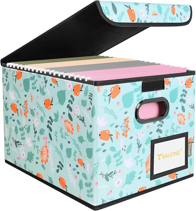 BALEINE File Organizer Box with Lid, Collapsible File Folder Organizer with Plastic Slide, Hanging File Folder Box for Office Document Storage (1 Pack, Spring Stroll)