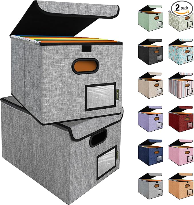 BALEINE File Organizer Box with Lid, Collapsible File Folder Organizer with Plastic Slide, Hanging File Folder Box for Office Document Storage (2 Pack, Grey)