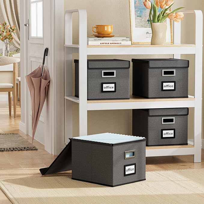 File Organizer Box with Lids, Collapsible File Folder Organizer | File Box with Plastic Slides for Document, Filing Bin for Letter Size Hanging File Folders (1 Pack, Dark Gray)