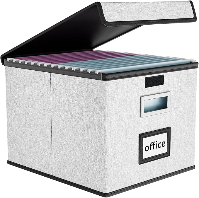 File Organizer Box with Lids, Collapsible File Folder Organizer | File Box with Plastic Slides for Office Document Storage, Filing Bin for Letter Size Hanging File Folders (1 Pack, White)