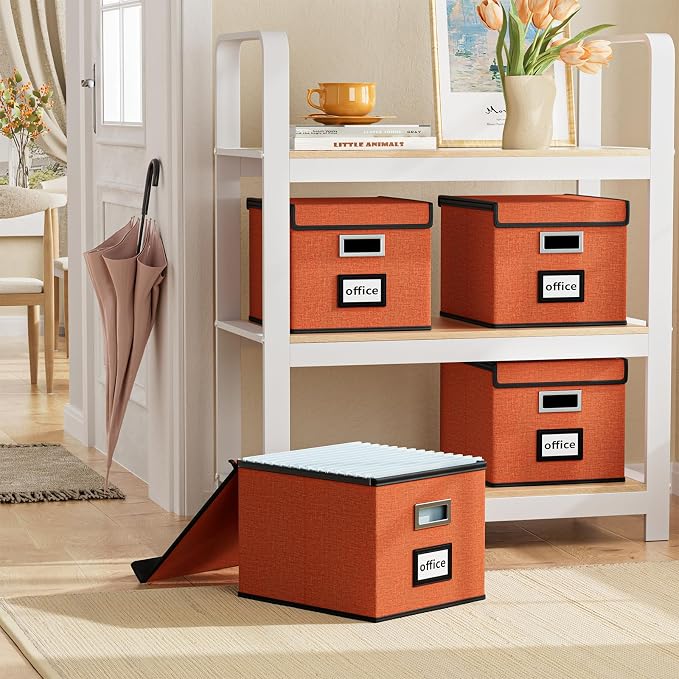 File Organizer Box with Lids, Collapsible File Folder Organizer | File Box with Plastic Slides for Document, Filing Bin for Letter Size Hanging File Folders (1 Pack, Reddish Organge)
