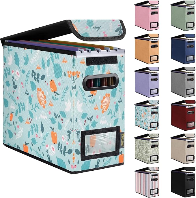 BALEINE File Organizer Box with Lid, Collapsible File Folder Organizer with Plastic Slide, Hanging File Folder Box for Office Document Storage (1 Pack, Spring Stroll, S)