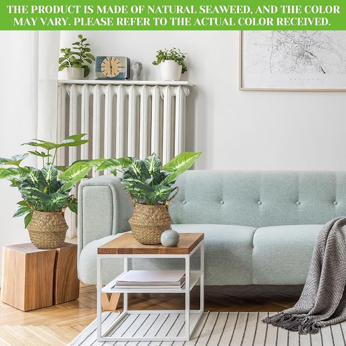 Qunclay 8 Pcs Woven Seagrass Baskets Belly Basket Folding Boho Natural Plant Pot with Handles Round Decorative Wicker Large Indoor Planter for Home Outdoor Tree Planters Decor (Xs,7.9''dx6.3''h)