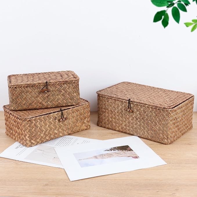 FEIALNDUO Wicker Shelf Baskets with Lid,Seagrass Storage Basket Bins Rectangular Handwoven Basket Boxes for Shelves Desktop Home Organizer (Coffee, Medium)