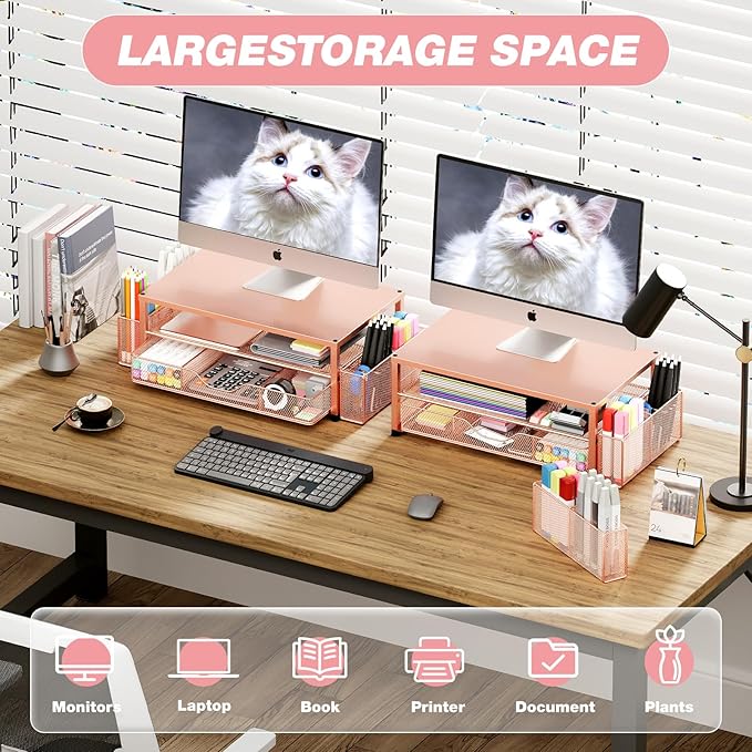 OPNICE Desk Organizer and Accessories, 2-Tier Computer Monitor Stand Riser with Drawer and 2 Pen Holders, Laptop Stand, Office Desk Accessories for Office Supplies, 1 Pack, Rose Gold
