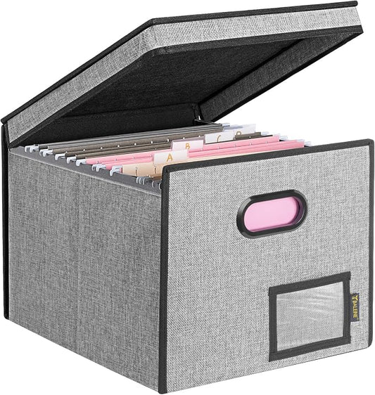 BALEINE File Organizer Box with Lid, Collapsible File Folder Organizer with Plastic Slide, Hanging File Folder Box for Office Document Storage (Tab Friendly, 1 Pack, Grey)