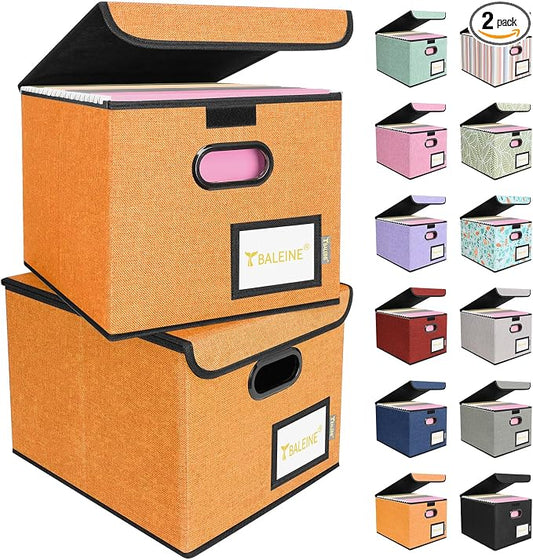 BALEINE File Organizer Box with Lid, Collapsible File Folder Organizer with Plastic Slide, Hanging File Folder Box for Office Document Storage (2 Pack, Orange)