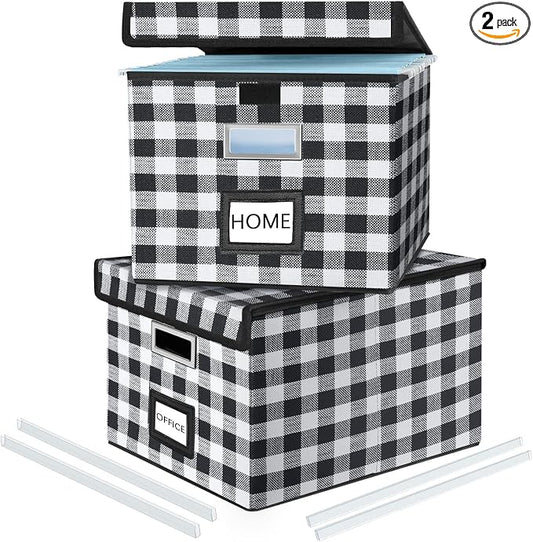 File Organizer Box with Lids, Collapsible File Folder Organizer | File Box with Plastic Slides for Document, Filing Bin for Letter Size Hanging File Folders (2 Pack, Black & White Lattice)