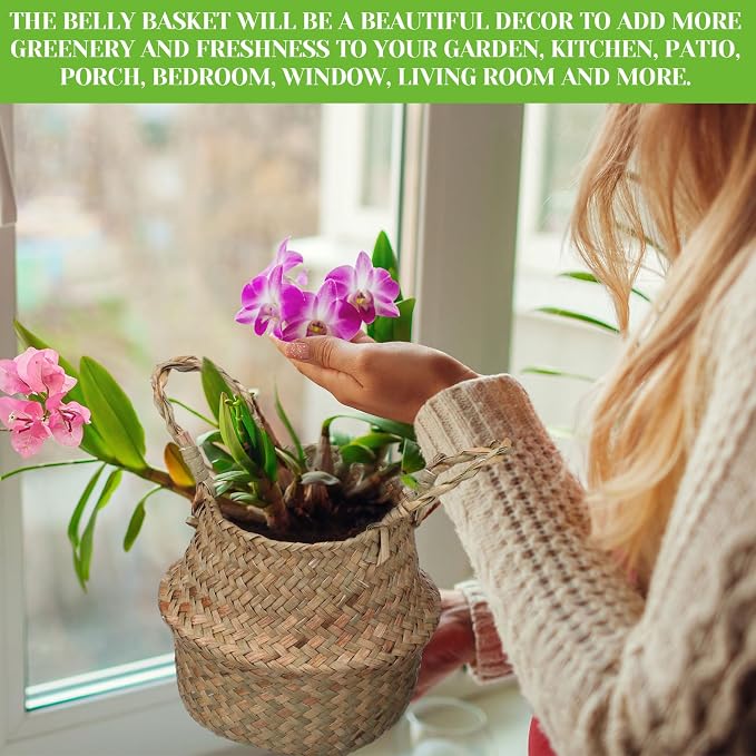 Qunclay 8 Pcs Woven Seagrass Baskets Belly Basket Folding Boho Natural Plant Pot with Handles Round Decorative Wicker Large Indoor Planter for Home Outdoor Tree Planters Decor (XXS,6.3''dx5.5''h)