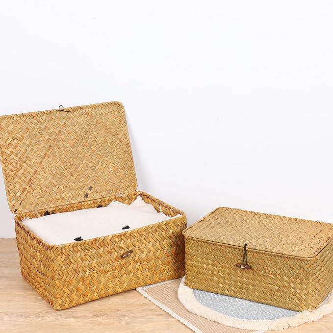 FEIALNDUO Wicker Shelf Baskets with Lid,Seagrass Storage Basket Bins Rectangular Handwoven Basket Boxes for Shelves Desktop Home Organizer (Natural, Large)