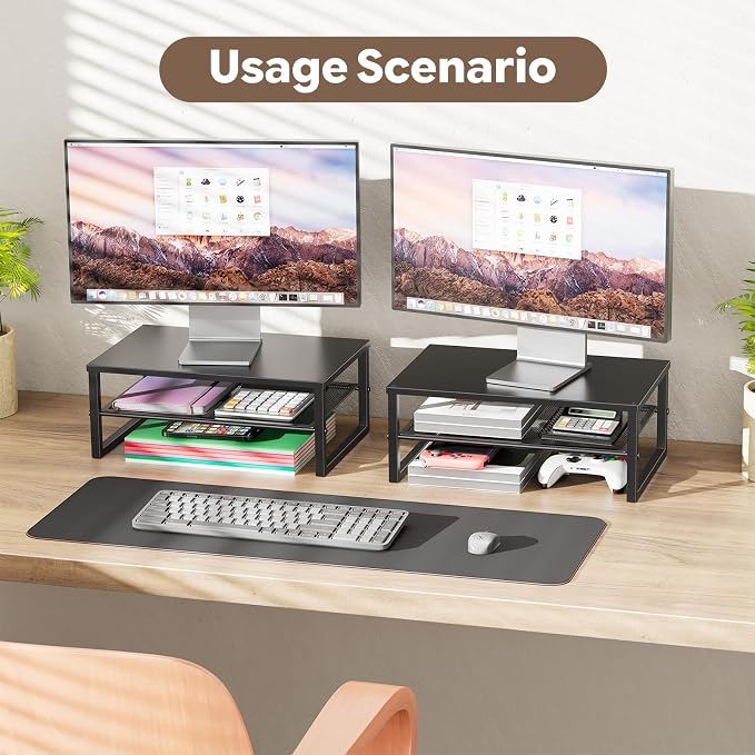 Ekisemio 2-Tier Computer Monitor Stand Riser, Desk Organizer for Monitor, Black
