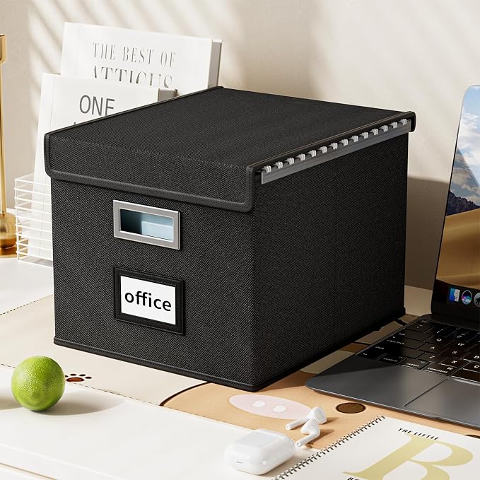 File Organizer Box with Lids, Collapsible File Folder Organizer | File Box with Plastic Slides for Office Document Storage, Filing Bin for Letter Size Hanging File Folders (1 Pack, Black)