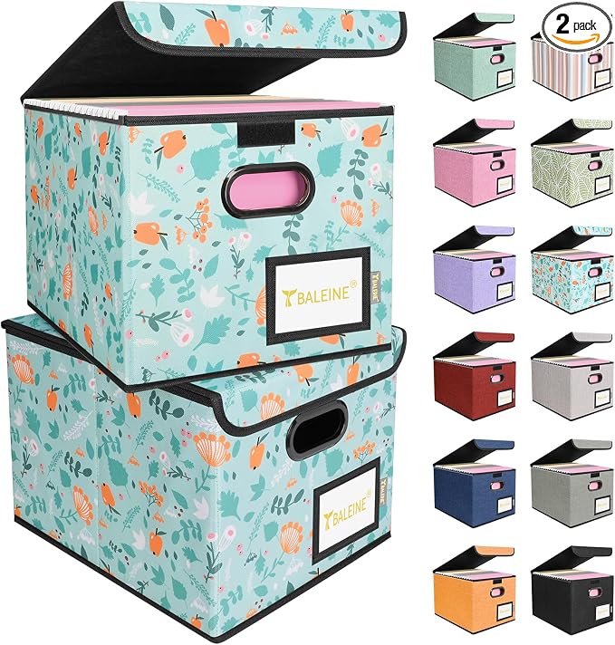 BALEINE File Organizer Box with Lid, Collapsible File Folder Organizer with Plastic Slide, Hanging File Folder Box for Office Document Storage (2 Pack, Spring Stroll)