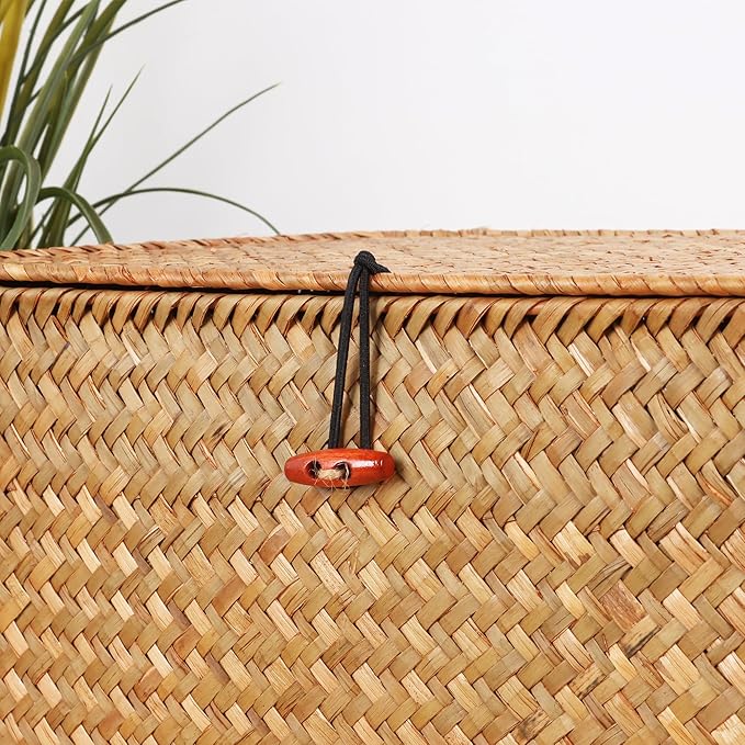 Moosky Wicker Shelf Baskets with Lid,Natural Seagrass Storage Basket Boxes Handwoven Rectangular Baskets Bins Multipurpose Home Organizer Decor (Small)