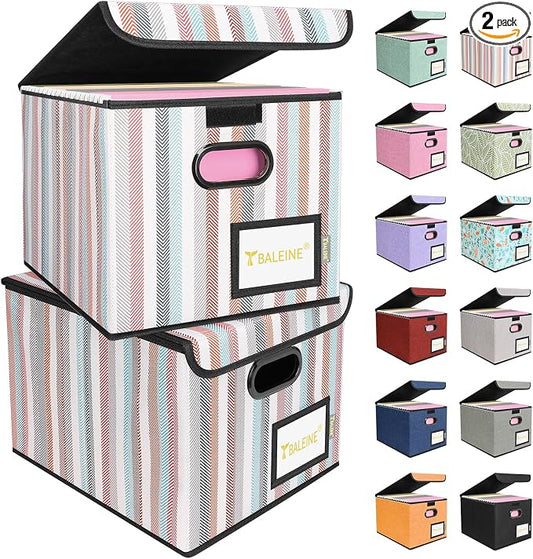 BALEINE File Organizer Box with Lid, Collapsible File Folder Organizer with Plastic Slide, Hanging File Folder Box for Office Document Storage (2 Pack, Color Stripe)